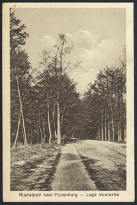 17429 Gezicht op het fietspad naar het landgoed Pijnenburg te Lage Vuursche (gemeente Baarn).